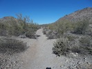 photo thumbnail #8