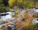 photo thumbnail #11