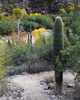 photo thumbnail #15