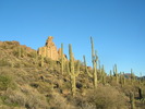 photo thumbnail #8