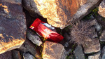 photo thumbnail #3