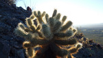 photo thumbnail #4