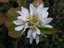 photo thumbnail #4