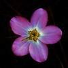 photo thumbnail #15