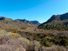photo thumbnail #9