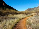 photo thumbnail #2