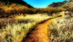 photo thumbnail #10