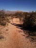 photo thumbnail #3