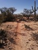 photo thumbnail #8
