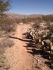 photo thumbnail #9