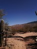 photo thumbnail #14