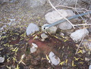 photo thumbnail #7