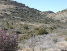 photo thumbnail #7