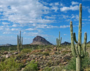 photo thumbnail #8