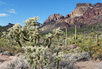 photo thumbnail #15