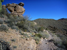 photo thumbnail #4