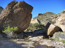 photo thumbnail #8