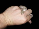 photo thumbnail #9