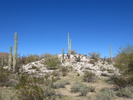 photo thumbnail #5
