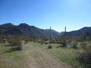 photo thumbnail #6