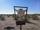 photo thumbnail #9