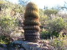 photo thumbnail #2
