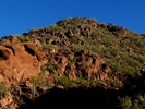 photo thumbnail #13