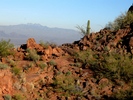photo thumbnail #14