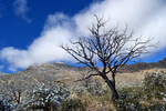 photo thumbnail #4