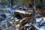 photo thumbnail #12