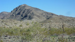 photo thumbnail #8