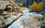 photo thumbnail #7