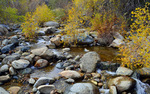 photo thumbnail #11