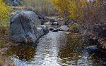 photo thumbnail #13