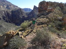 photo thumbnail #6