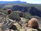 photo thumbnail #9