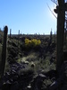 photo thumbnail #15