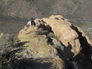 photo thumbnail #2