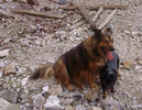 photo thumbnail #9