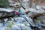 photo thumbnail #1