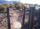 photo thumbnail #1