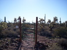 photo thumbnail #2