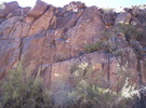 photo thumbnail #6