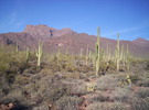 photo thumbnail #8