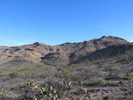 photo thumbnail #4