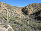 photo thumbnail #6