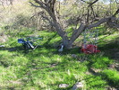 photo thumbnail #7