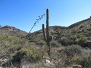photo thumbnail #10
