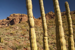 photo thumbnail #5