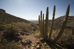 photo thumbnail #7
